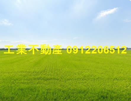 高雄大寮農地-1