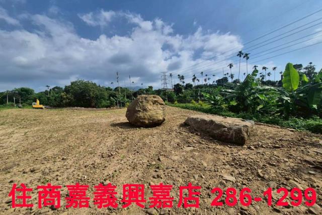 嘉義番路農地-10
