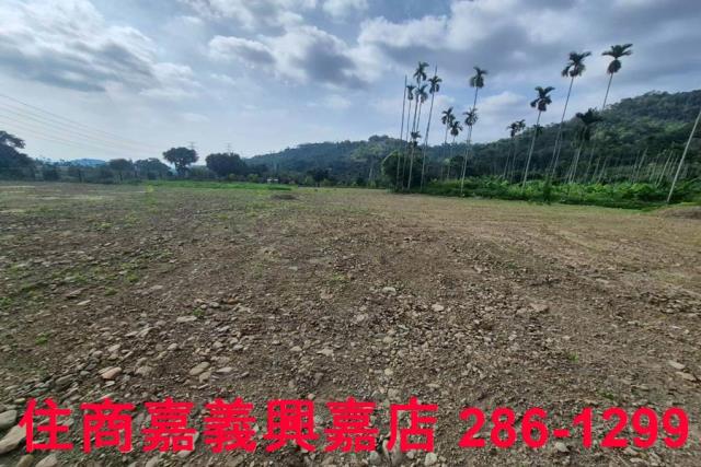 嘉義番路農地-11