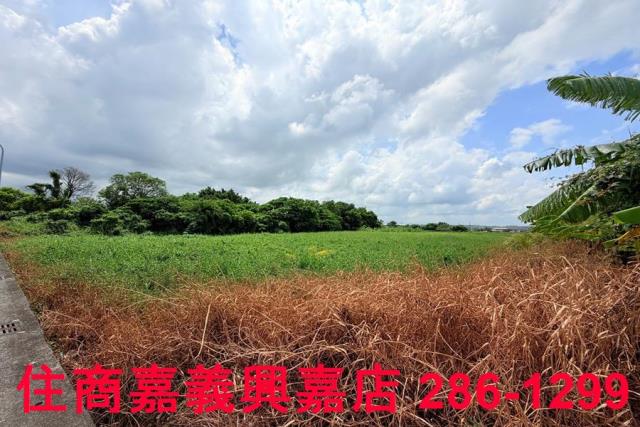 嘉義農地-6