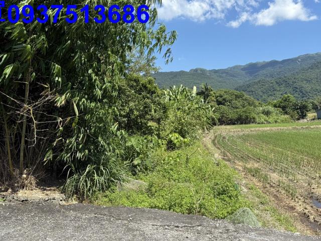 宜蘭頭城農地-14