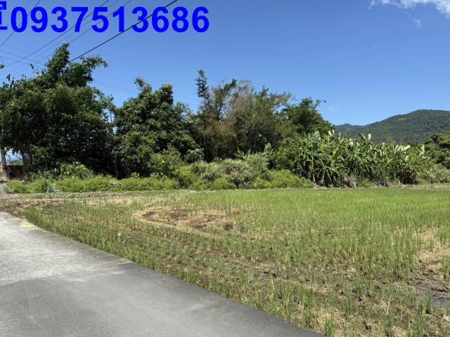 宜蘭頭城農地-6