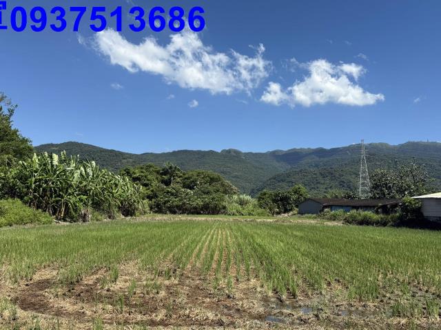 宜蘭頭城農地-8