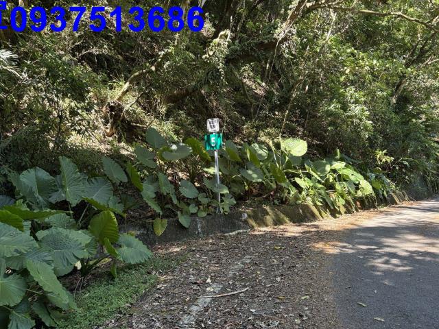 宜蘭頭城林地-13
