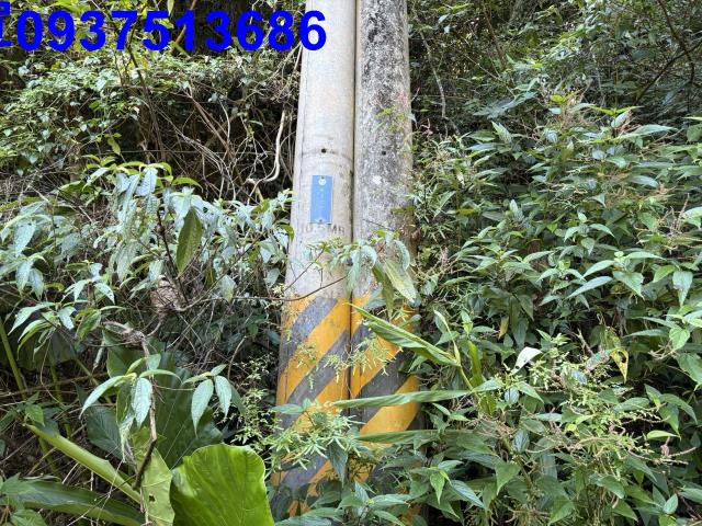 宜蘭頭城林地-4