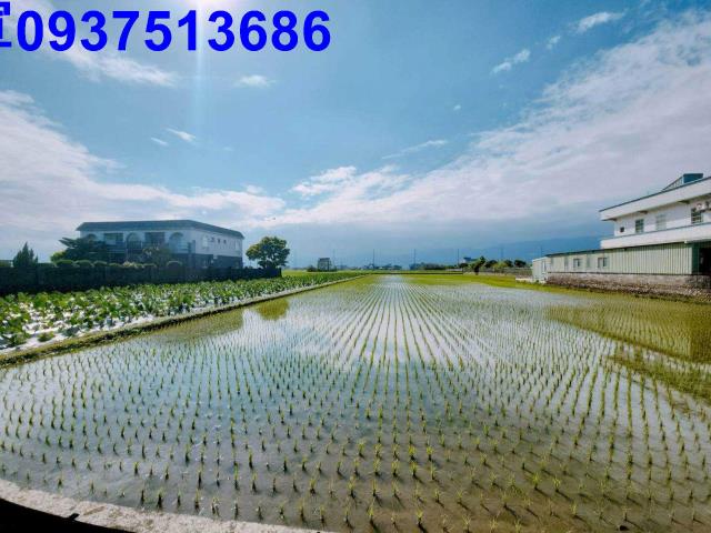 宜蘭壯圍農地-15