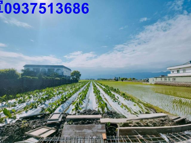 宜蘭壯圍農地-5