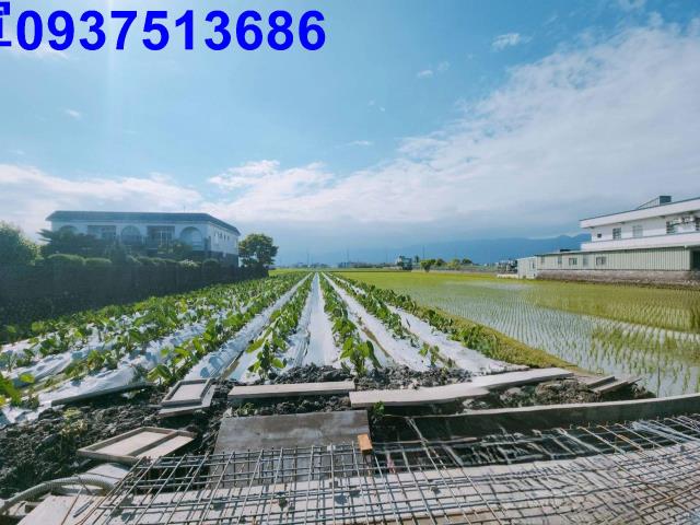 宜蘭壯圍農地-6
