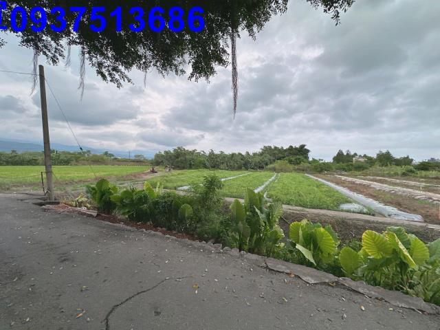 宜蘭員山農地-2