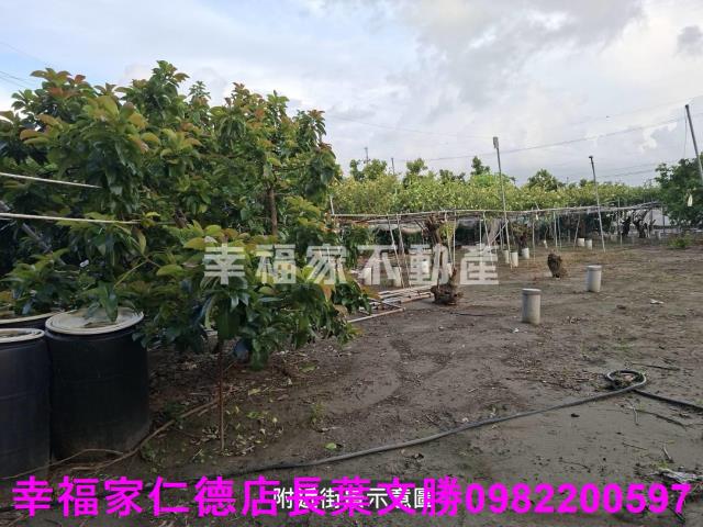 台南西港農地-11