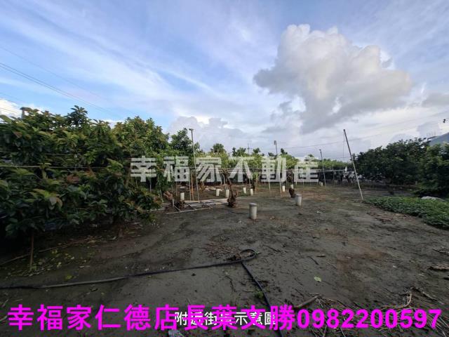 台南西港農地-1