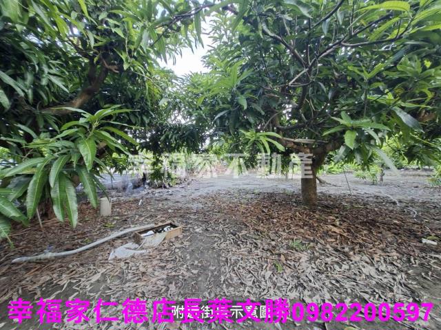 台南西港農地-2