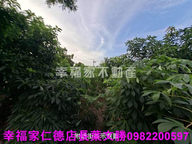 台南西港農地-4