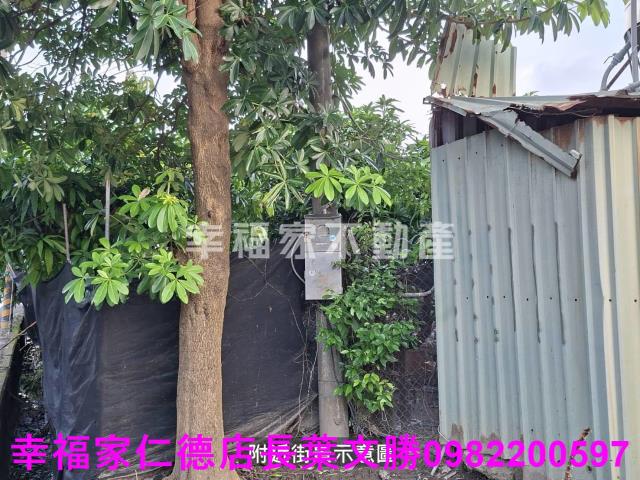 台南西港農地-7