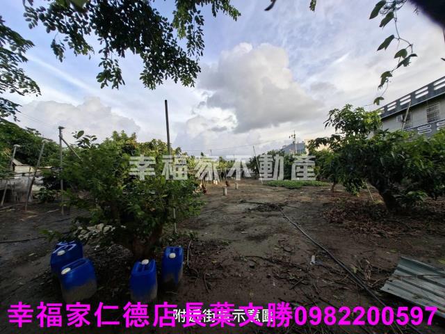 台南西港農地-9