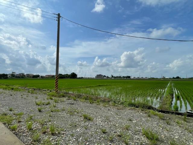 民雄農地-1