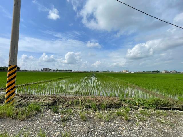 民雄農地-2