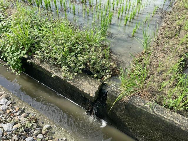 民雄農地-4