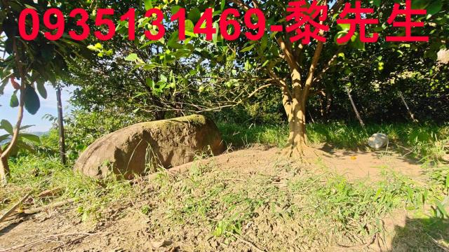 北埔農地-12