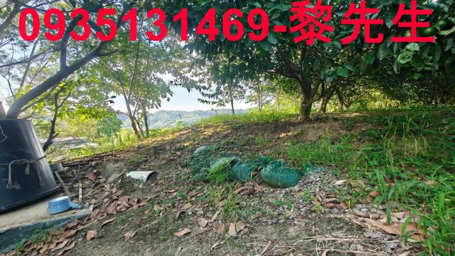 北埔農地-13