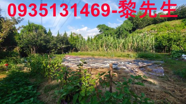 北埔農地-6