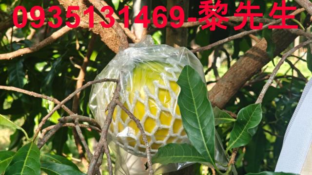 北埔農地-7