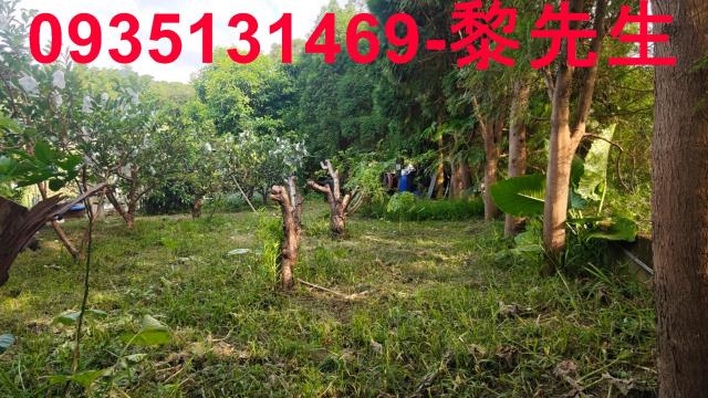 北埔農地-8