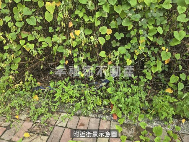 台南麻豆工業地-4