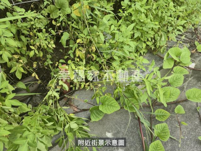台南麻豆工業地-5