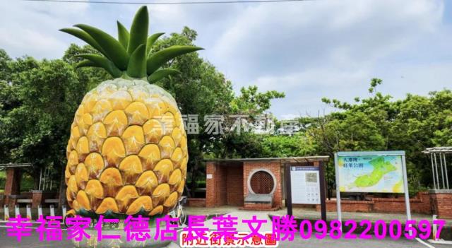 台南龍崎農地-9