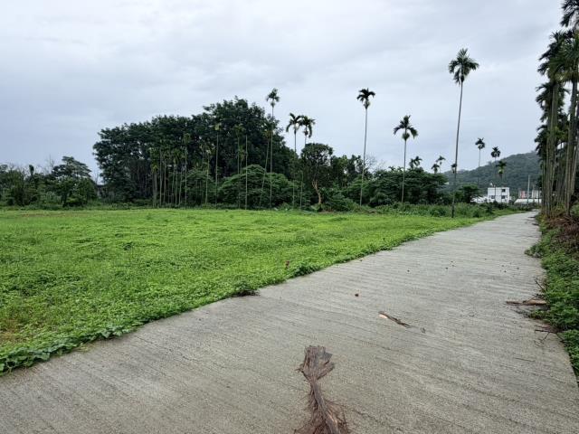 名間農地-5