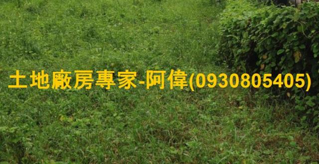 高雄農地-1