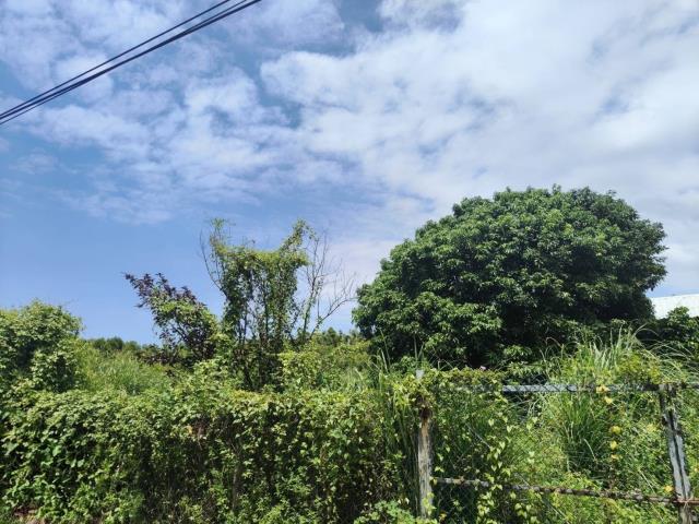 苗栗竹南農地-3