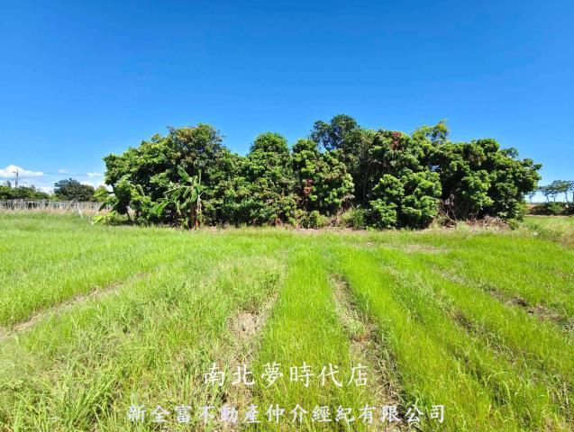 仁德農地-2