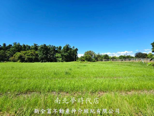 仁德農地-4