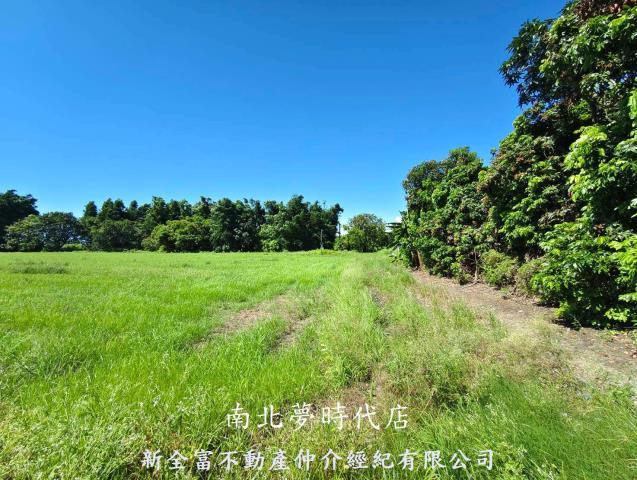 仁德農地-5