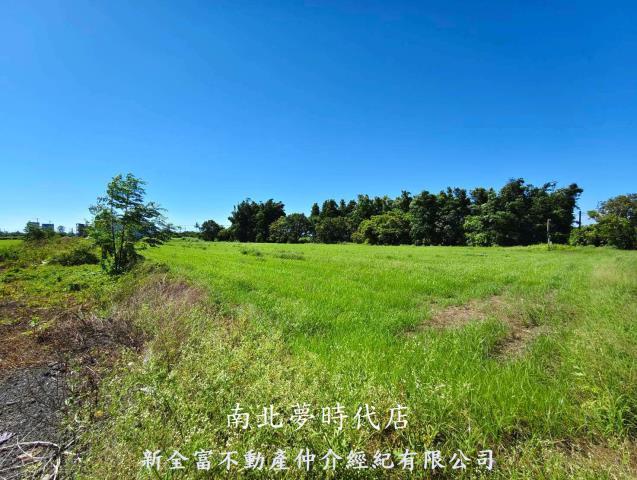 仁德農地-6