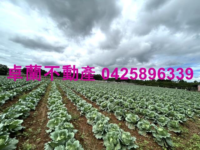 苗栗卓蘭農地-8