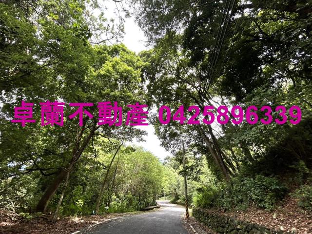 苗栗卓蘭農地-3