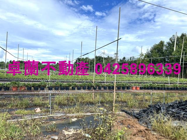 苗栗卓蘭農地-8