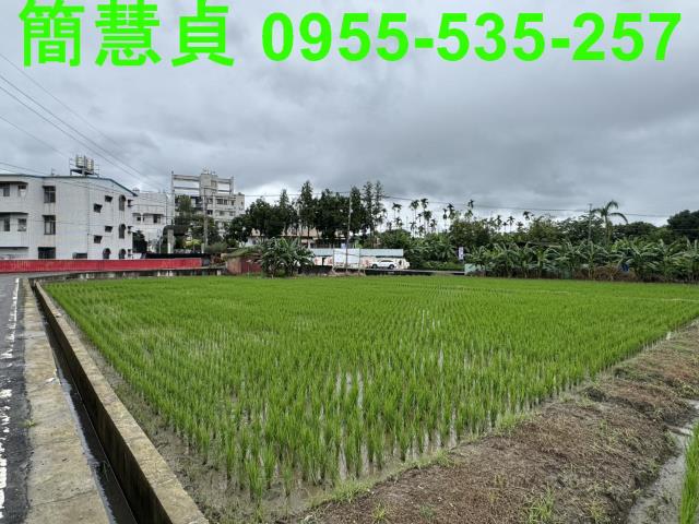 草屯農地-6