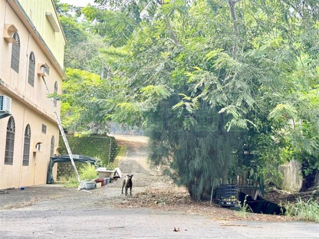 高雄農地-13