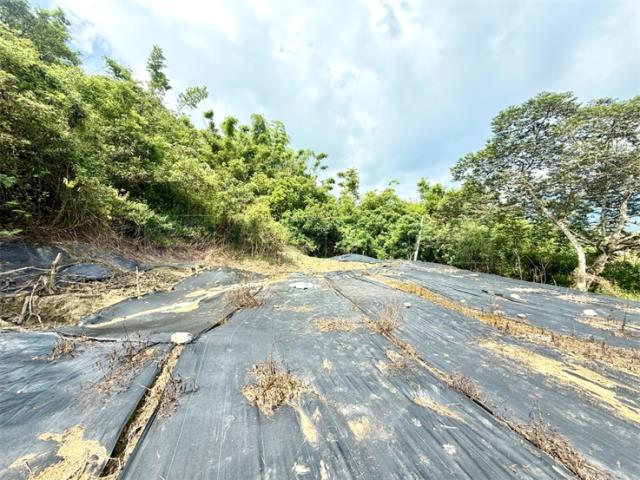 高雄農地-6