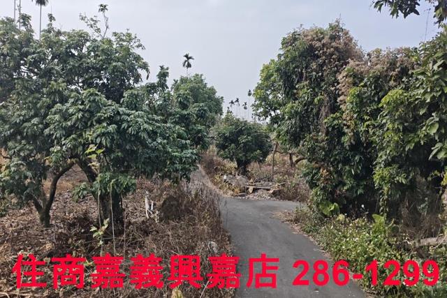 嘉義農地-3