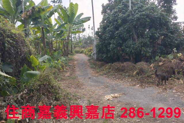 嘉義農地-4