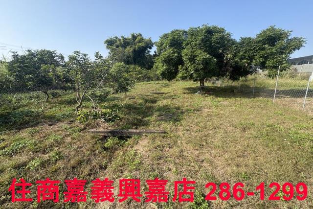 嘉義農地-3