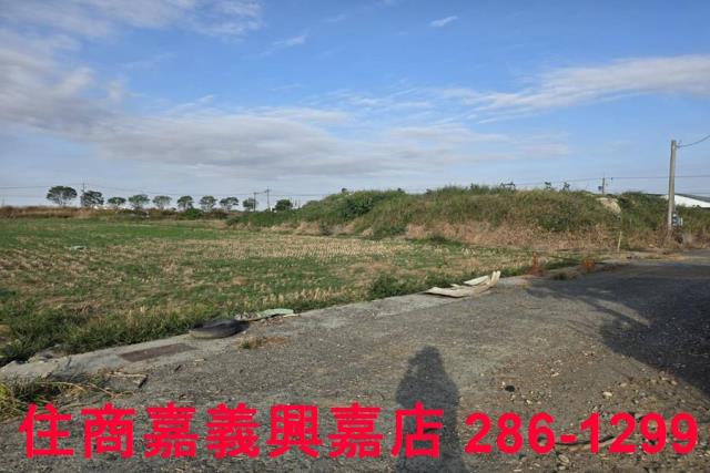嘉義農地-1