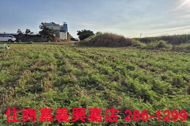嘉義農地-5