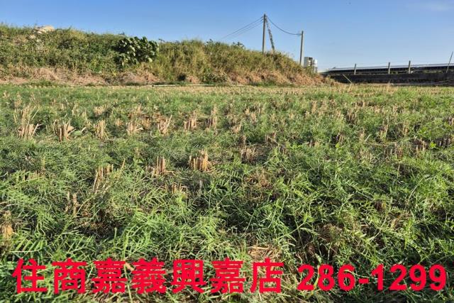 嘉義農地-6