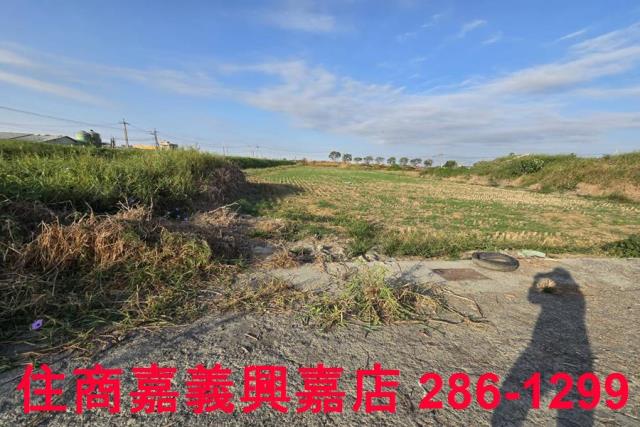 嘉義農地-8